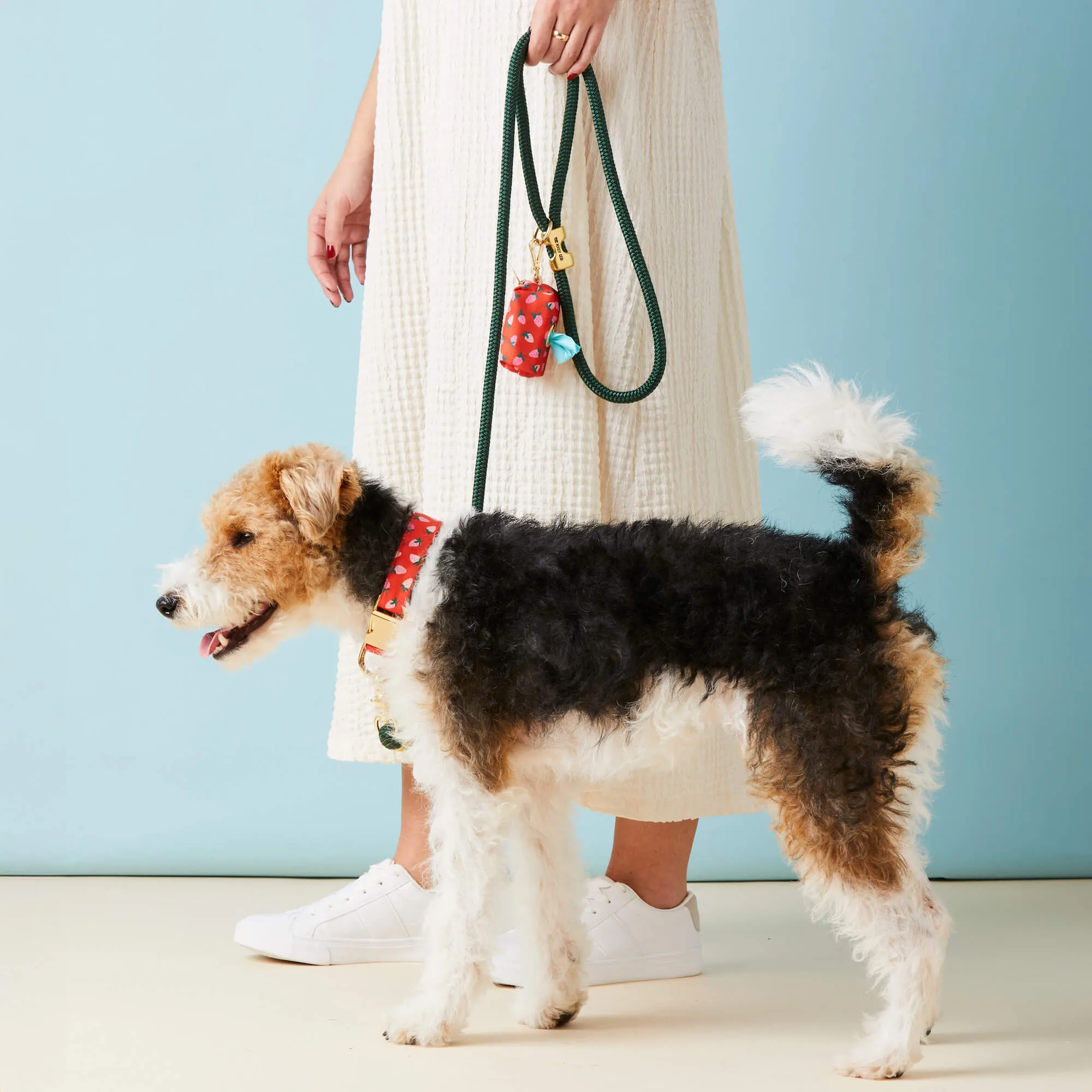 Berry Sweet Collar Walk Set