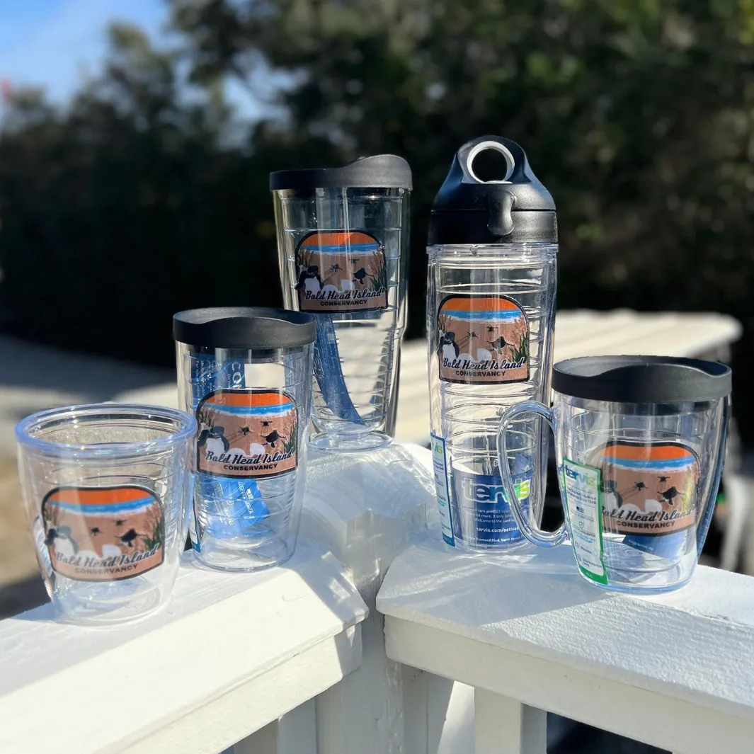 BHI Conservancy Hatchlings Patch Tervis Tumblers