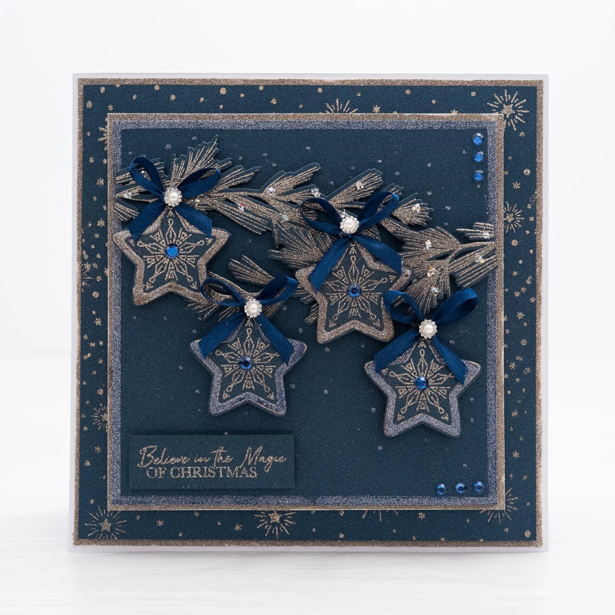 Chloes Creative Cards Die & Stamp Set - Christmas Branch