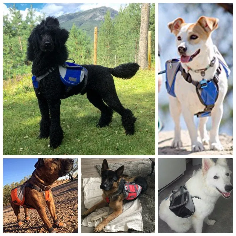 Dog Harness With Saddlebag Backpack
