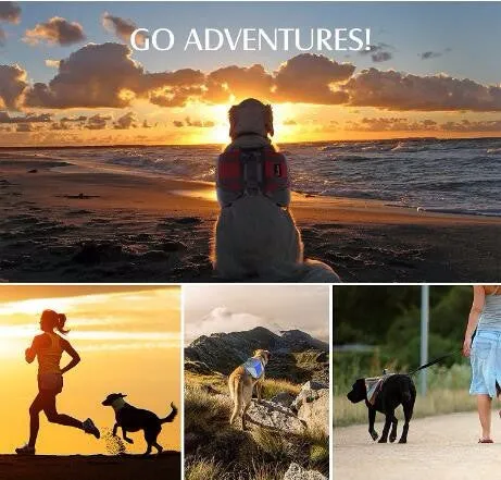 Dog Harness With Saddlebag Backpack