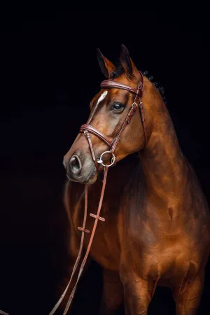 Horze Sion Leather Bridle with Reins