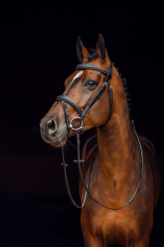 Horze Sion Leather Bridle with Reins