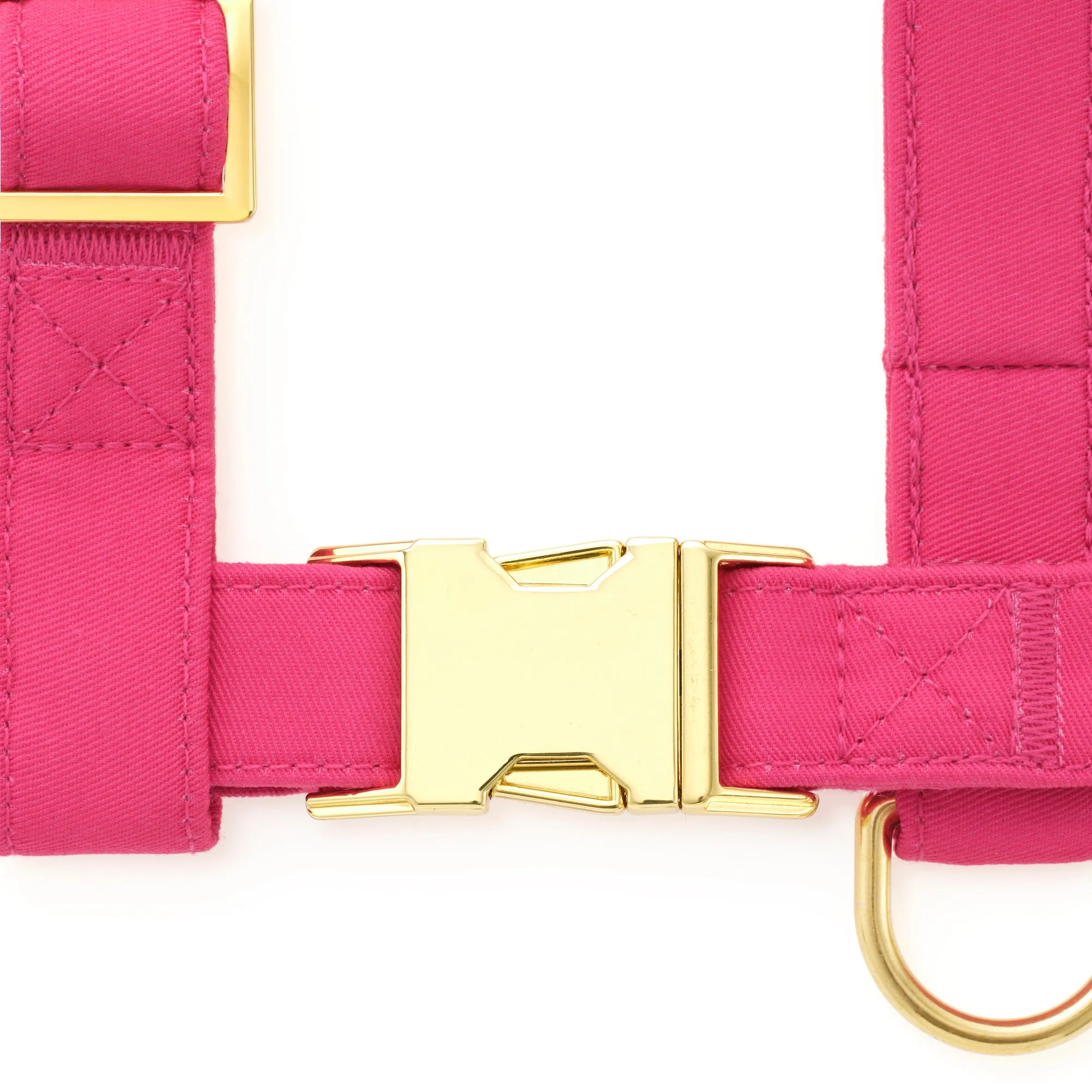 Hot Pink Harness Walk Set