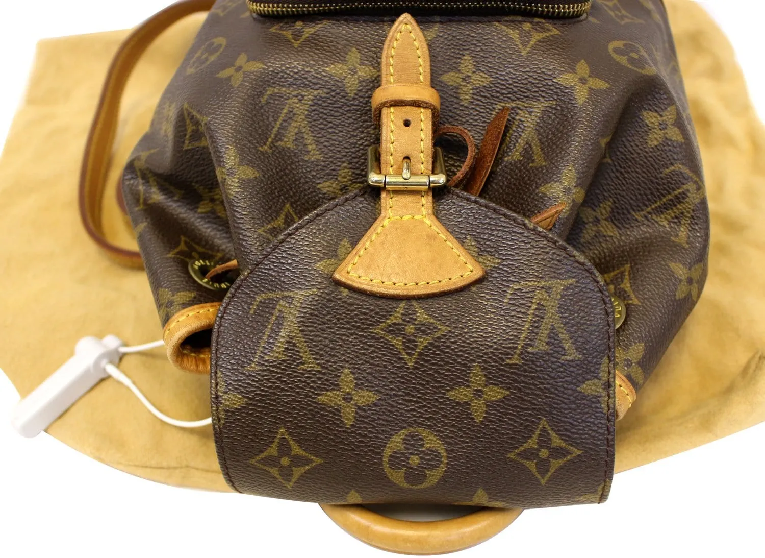 LOUIS VUITTON Monogram Canavs Montsouris PM Backpack