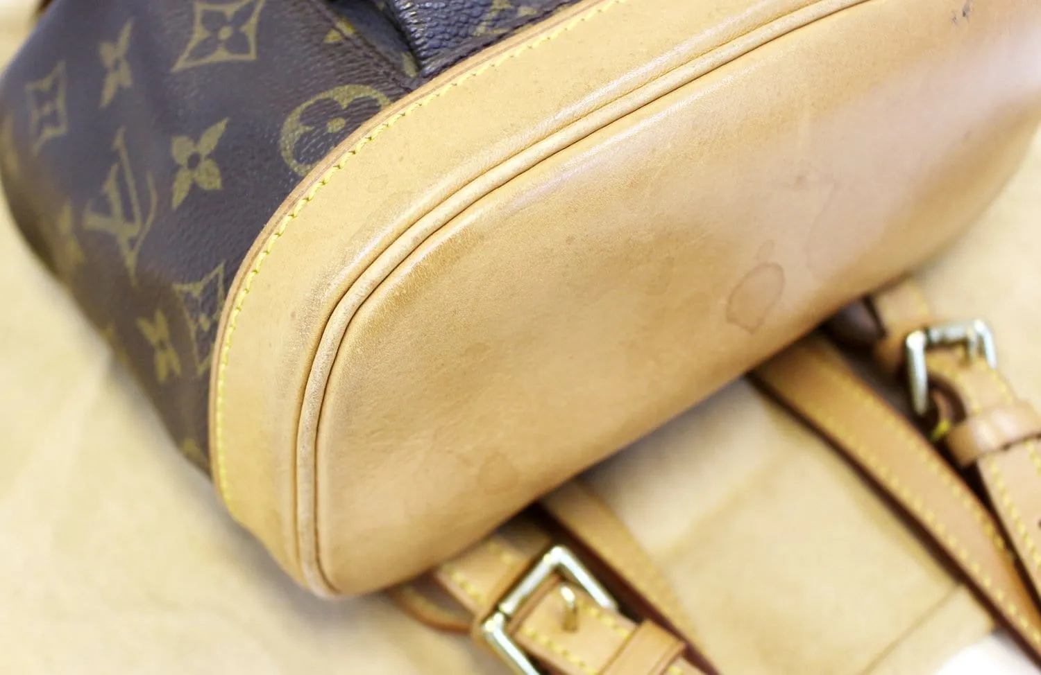 LOUIS VUITTON Monogram Canavs Montsouris PM Backpack