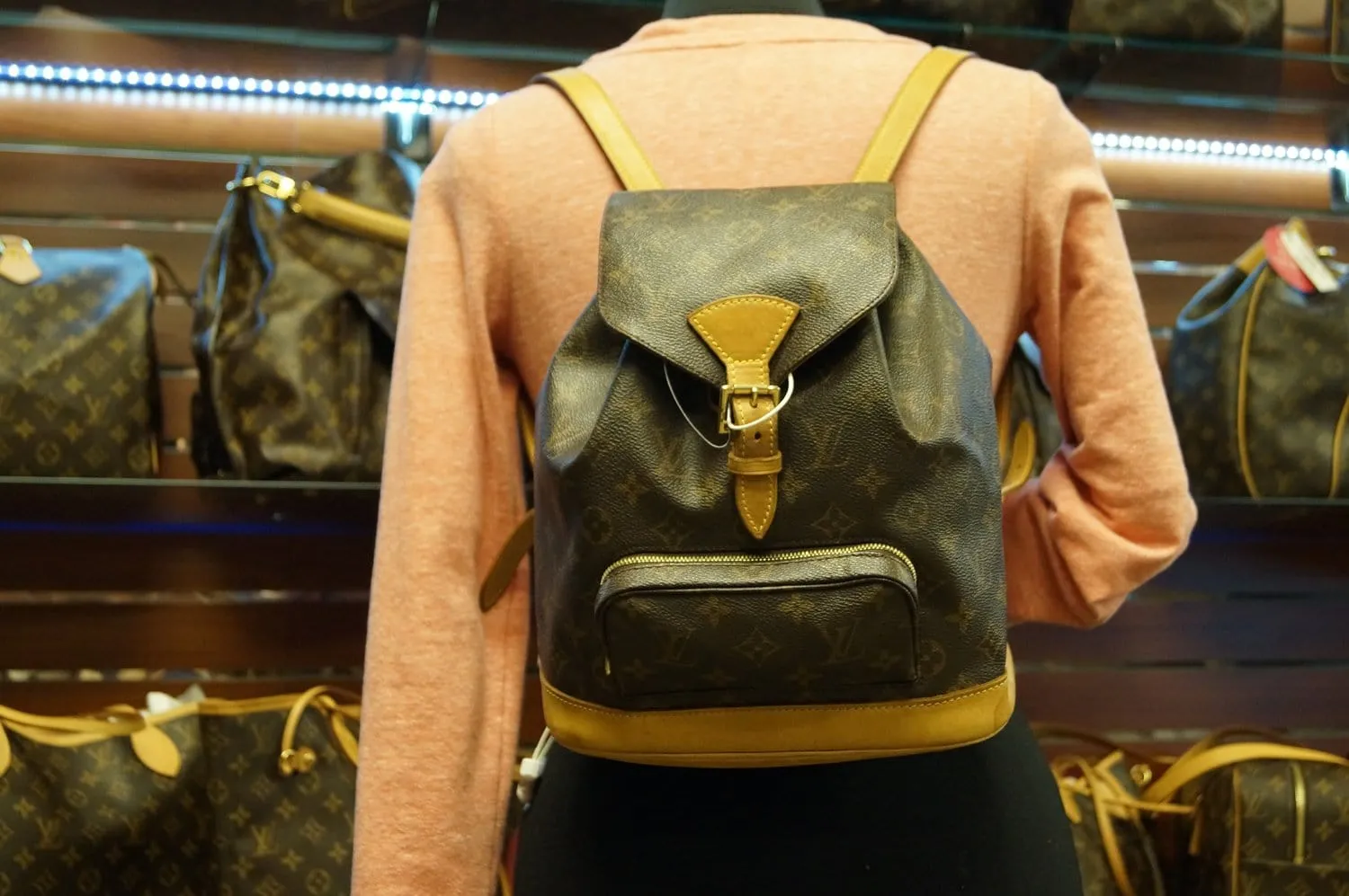 LOUIS VUITTON Monogram Canvas Montsouris MM Backpack