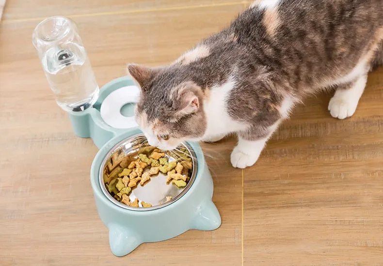 Pets Water Bottle and Food Set