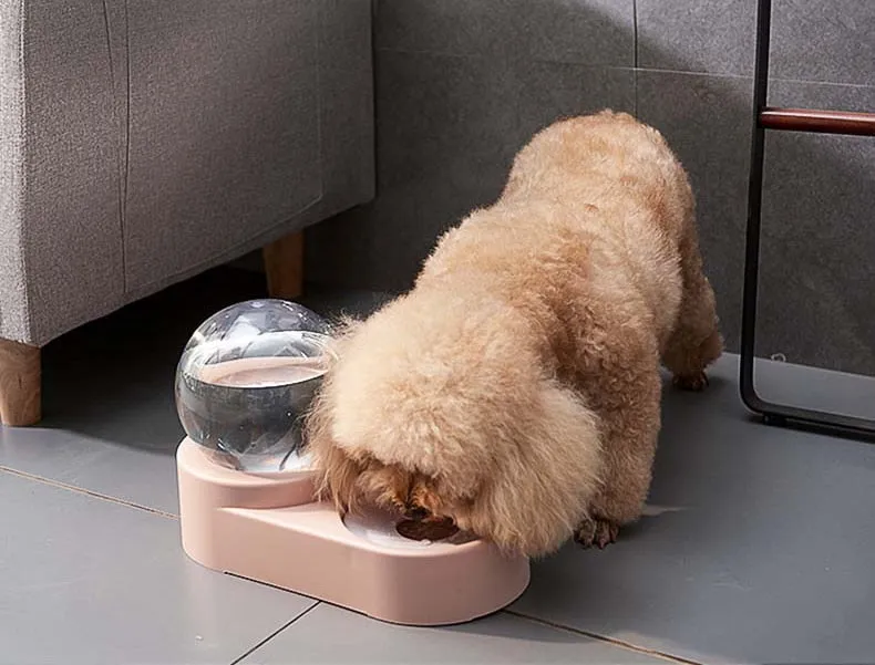 Pets Water Bottle and Food Set