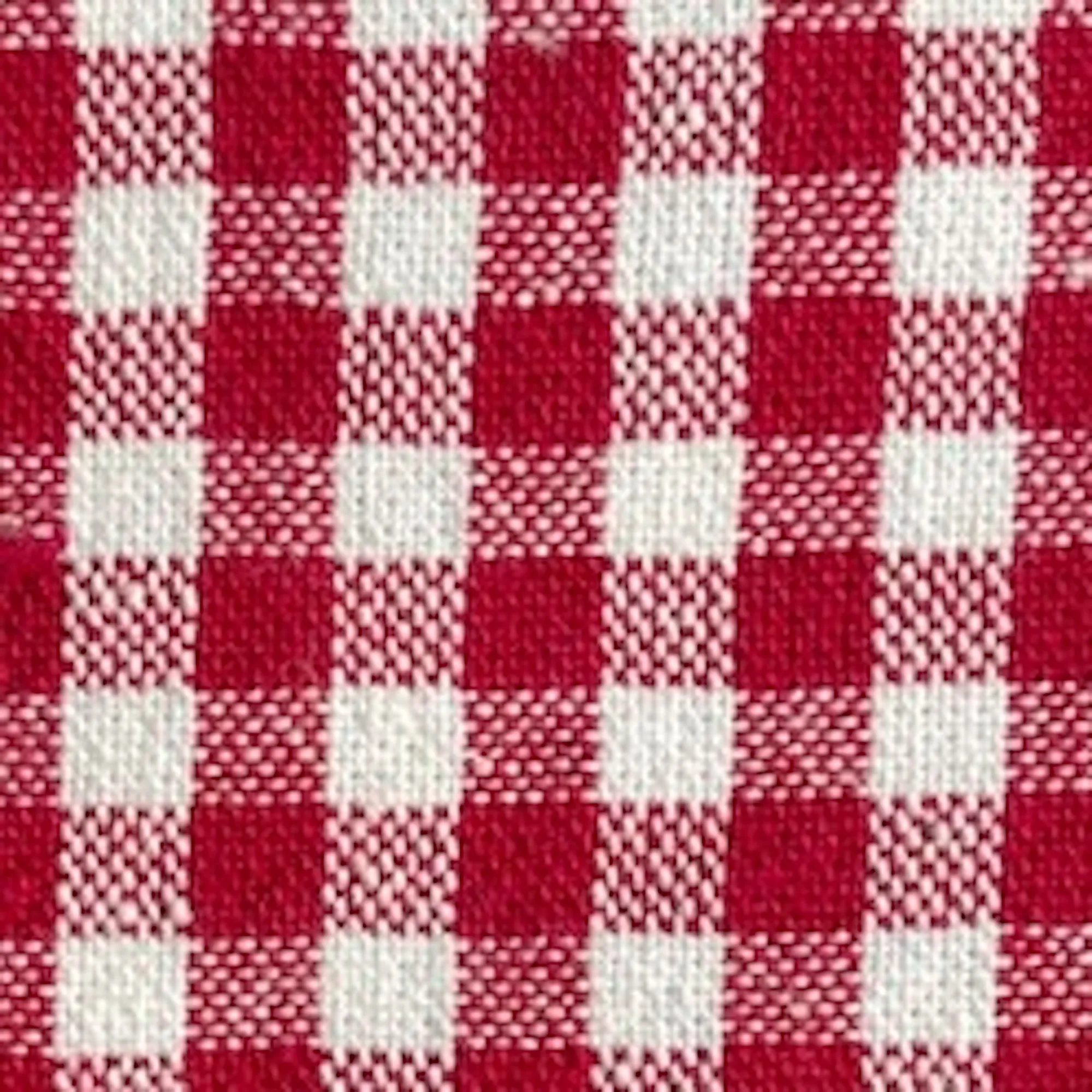Red Gingham Harness Walk Set