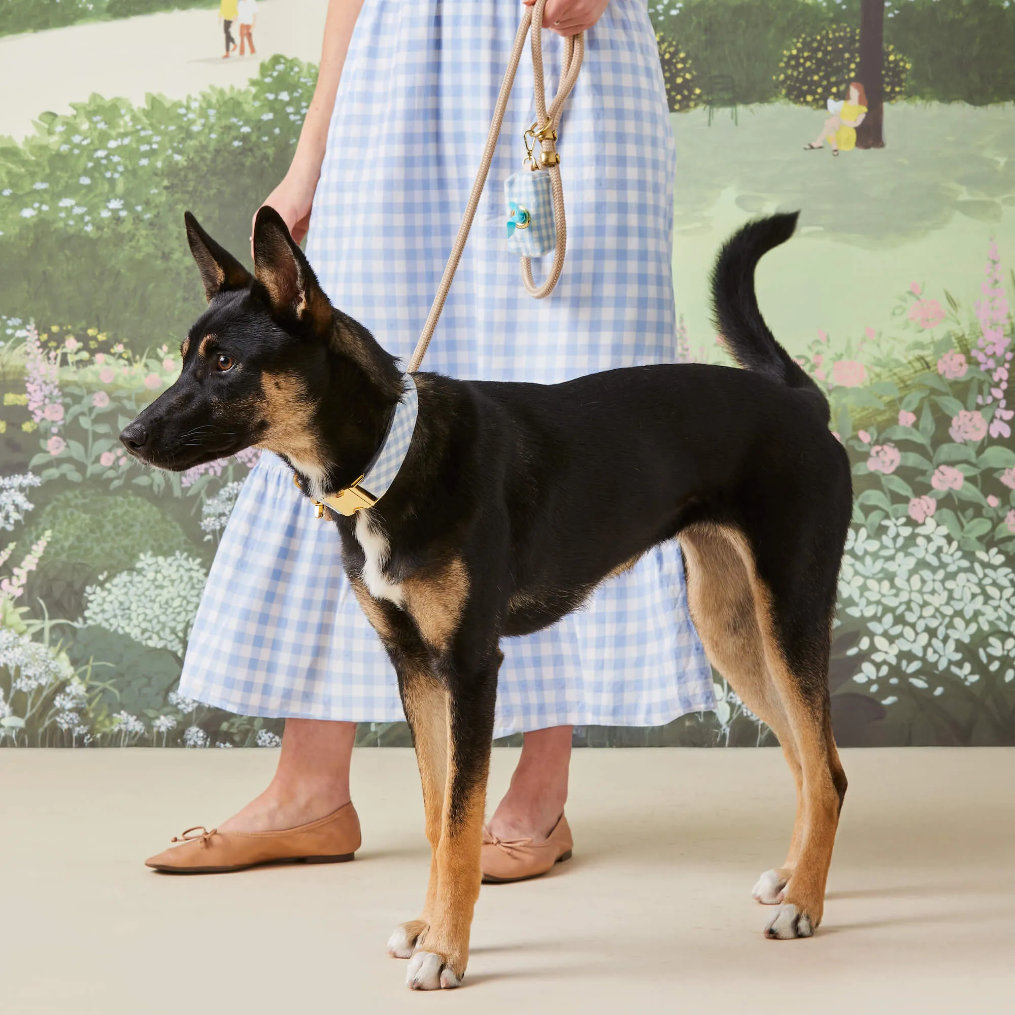 Sky Blue Gingham Collar Walk Set