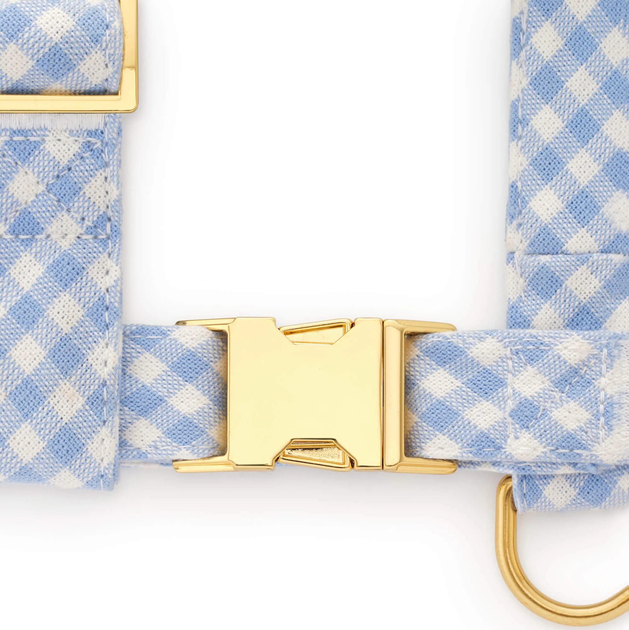 Sky Blue Gingham Harness Walk Set