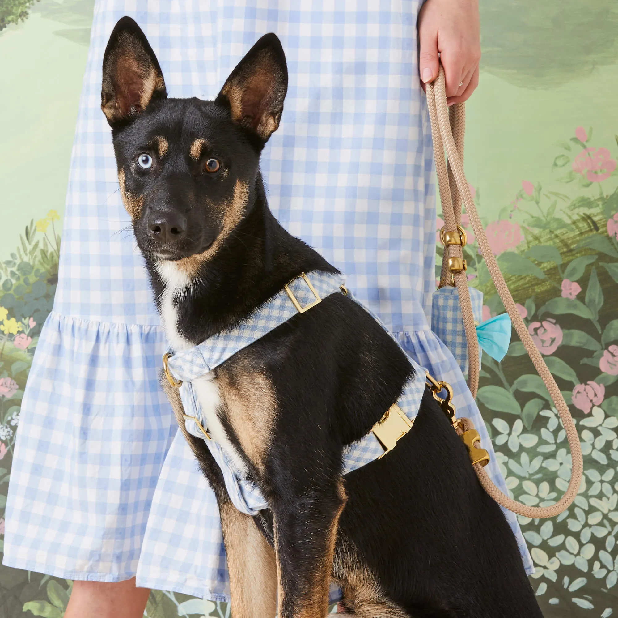 Sky Blue Gingham Harness Walk Set
