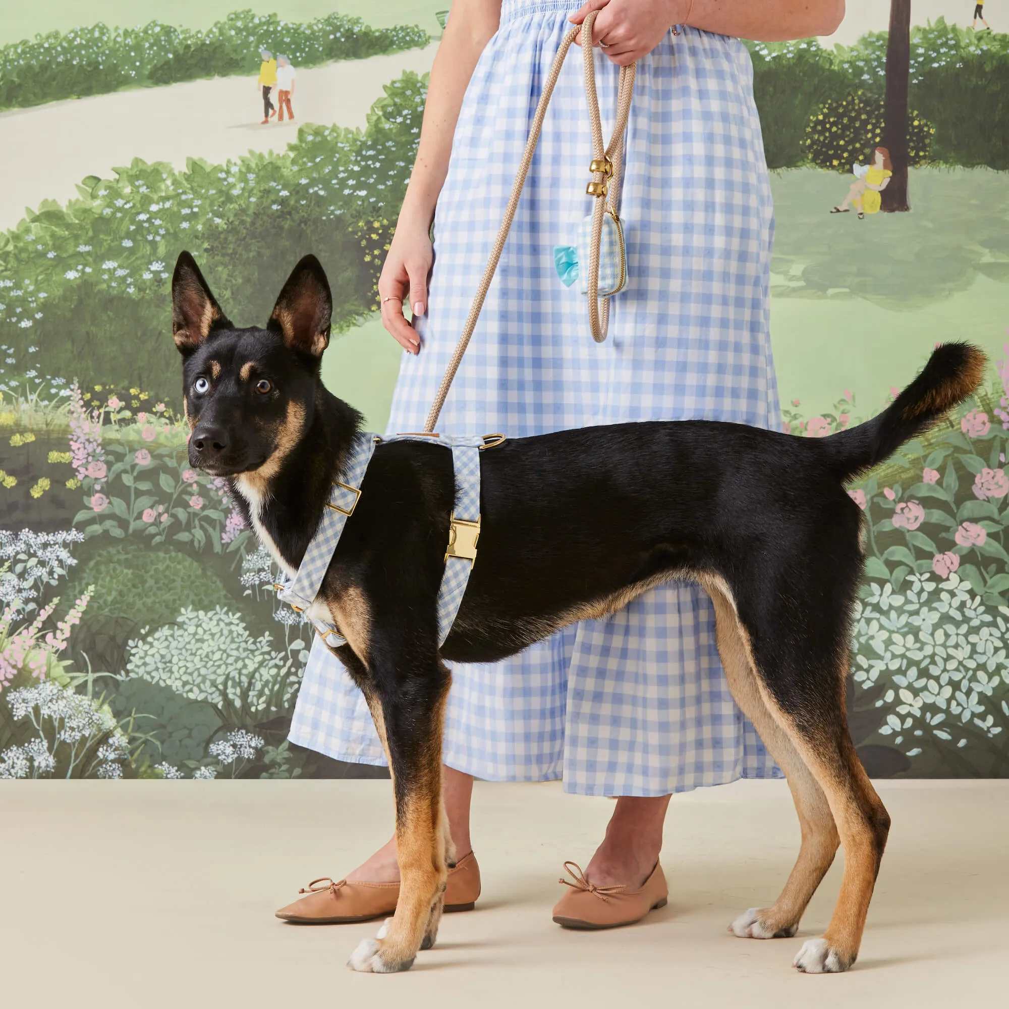 Sky Blue Gingham Harness Walk Set